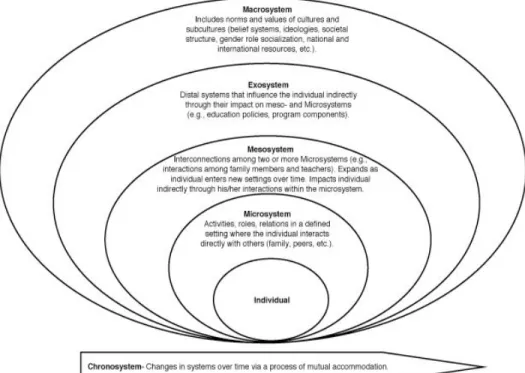 Figure 1. Ecological Model of Interaction Among Persons and Environments 
