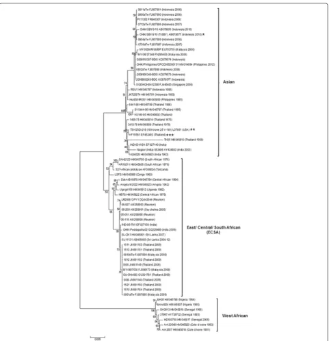 Fig. 1 Molecular phylogenetic analysis by Maximum Likelihood method. The evolutionary history was inferred by using the Maximum Likelihoodmethod based on the Tamura-Nei model [38]