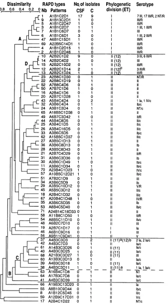 FIG. 1. Genetic relationships among 71 RAPD types. The dendrogram was generated by the unweighted pair group method with arithmetic means