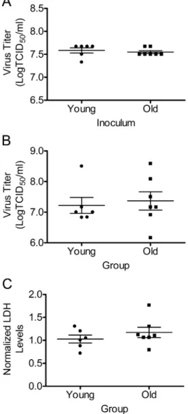 Figure 1.  Virus inoculum, replication at 24 h postinfection, and cell cytotoxicity. 
