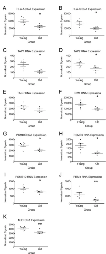 Figure 4.  Nasal epithelial cells from older individuals express significantly less  mRNA for proteins important in antigen presentation and viral evasion