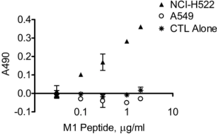 Figure  5.  CTL clearance of airway epithelial cells is dependent upon  concentration of antigen presentation