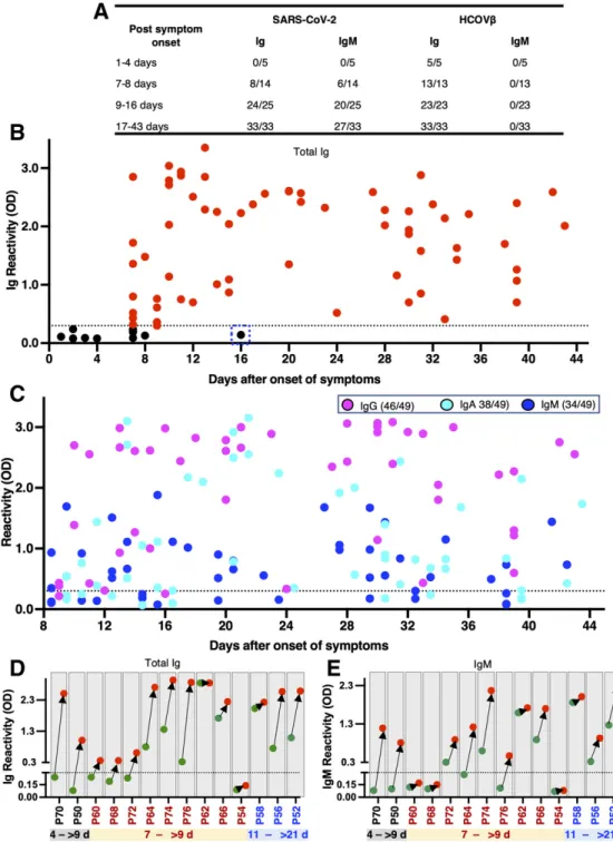 Fig.  4.  Evaluation of SARS- SARS-CoV-2 spike RBD antigen  sensitivity. (A) Overall  SARS-CoV-2 spike RBD antigen  sensitivity as assessed by the  in-house Ig and IgM ELISA  assays using clinical  specimens obtained from  PCR-confirmed SARS-CoV-2  subject