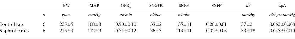 Figure 1. Single nephron sieving coefficient for albumin in nephrotic rats. The sieving coefficient was calculated from the single nephron clearance of albumin and the SNGFR that were measured between 5 and 22 d after administration of adriamycin