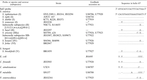 TABLE 1. Sequence variation in the 23S rRNA genes of different Enterobacteriaceae species at E