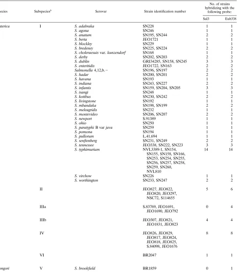 TABLE 2. Strains of Salmonella tested by in situ hybridization with ﬂuorescence-labelled probesa