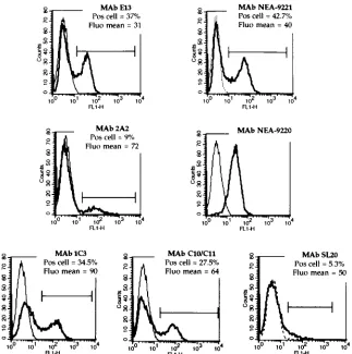 TABLE 1. Percentage of antigen-positive PMNLs after incubation with various anti-CMV MAbs as determined by FC analysis