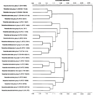 FIG. 3. Practical schematic illustrating the similarities and differences between each of the biochemically and antibiogram-deﬁned subgroups of the N