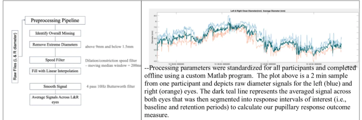 Figure 3.3 Pupil Data Preprocessing 