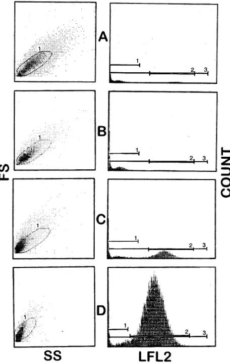 FIG. 1. Representative ﬂow cytometer histograms for one strain of C. albi-canskilled (nonviable) cells