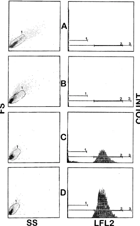 FIG. 2. Effect of time of reading on amphotericin B (AmpB) and ﬂuconazoleMICs for a reference strain (ATCC 90028) by ﬂow cytometry.