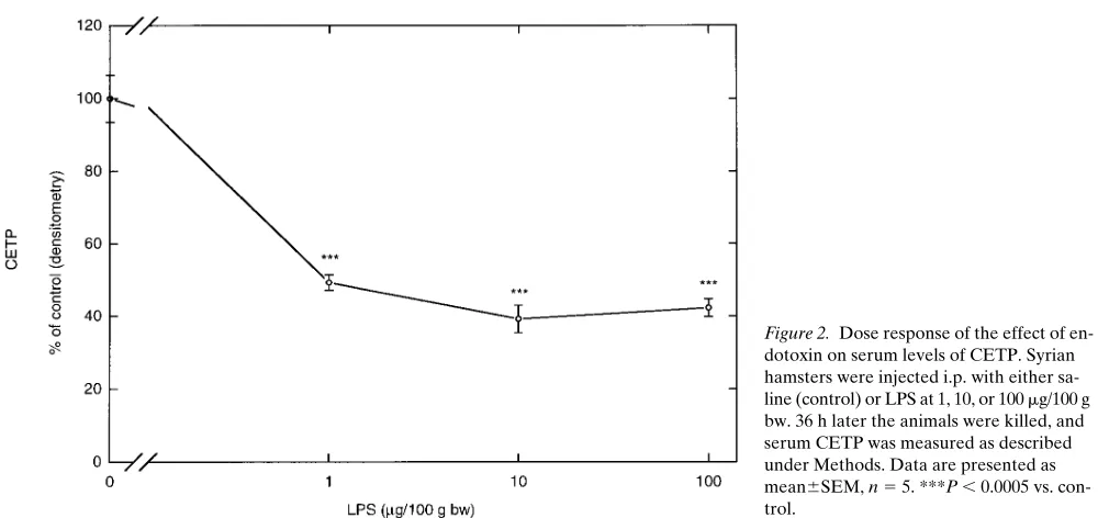 Figure 1. Time course of the effect 