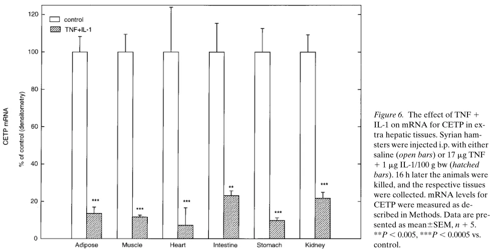 Figure 5. The effect of TNF and IL-1 
