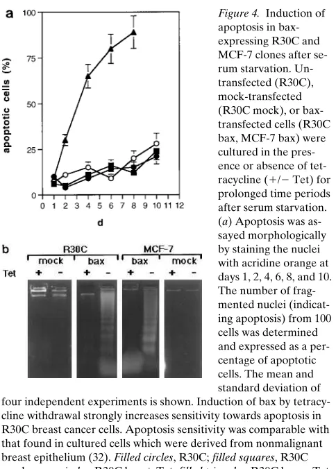 Figure 4. Induction of 