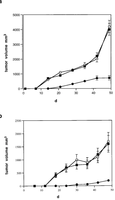 Figure 6. Tumor growth of bax-expressing R30C and MCF-7 clones time points as described in Methods