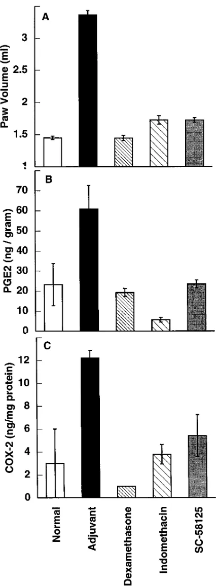 Figure 3. Decreased levels of adjuvant-induced edema, PGEprotein (nanogram per milligram protein, tified by ELISAs