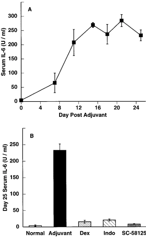 Figure 5. Elevation of IL-6 in the serum in arthritic rats and inhibi-thereafter, serum samples were collected for quantitation of IL-6 bio-activity (the effect of treatment on the level of serum IL-6 bioactivity was de-termined on day 25 (tion of systemic