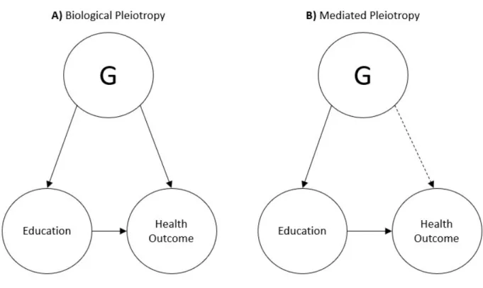 Figure 1. Conceptual diagrams representing two types of pleiotropy 