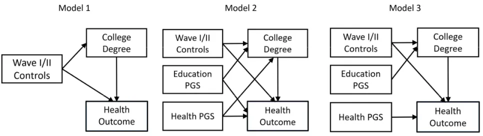 Figure 3. Structural equation models estimated for each health outcome.  