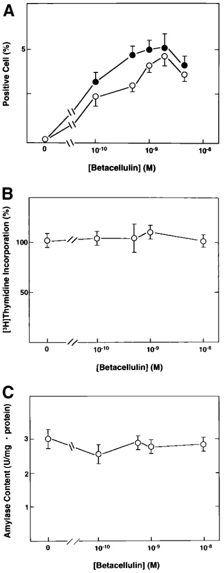 Figure 3. Dose-response relationship for the effect of betacellulin. AR42J cells were incubated for 5 d in DME containing various con-centrations of betacellulin, and the number of insulin- and PP-posi-tive cells (A), DNA synthesis (B), and amylase content