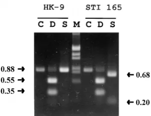 TABLE 1. Comparison of PCR results with the results ofzymodeme analysis