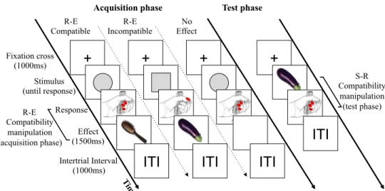 Fig. 1 Schematic illustration of the display and the timing of events in the acquisition and the test phase