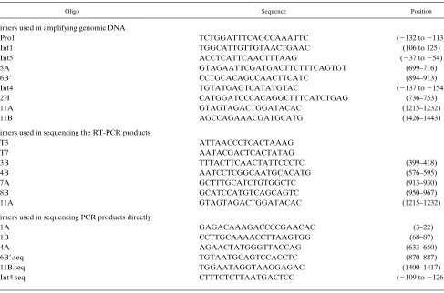 Figure 2. The sequence of the 3R/4H RT-PCR product cloned into pBS using oligo 11A as the sequencing primer