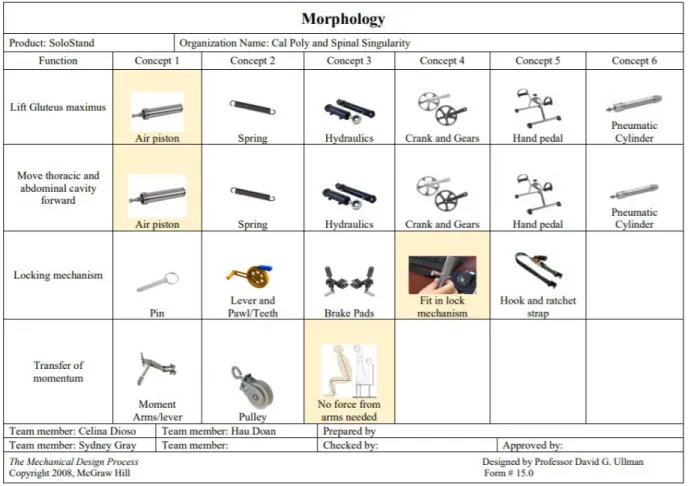 Figure 4.1.1 Morphology 