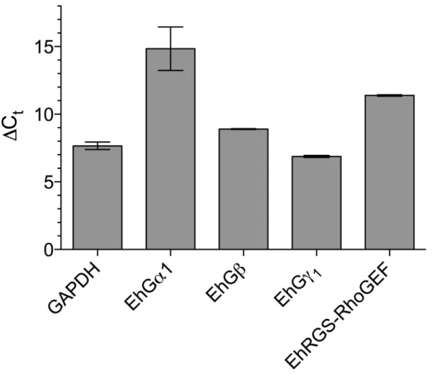 Figure  2.2.  Heterotrimeric  G-protein  signaling  components  are  expressed  in   E