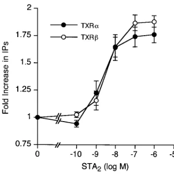 Figure 3. STAtotal inositol phosphate production was measured. Both isoforms are expressed in a similar number (190.1 pmol and 145.7 pmol / 1the two TXAcells for TXRfold increases, where the values from the cells in the absence of STAthrough TXR2-induced P