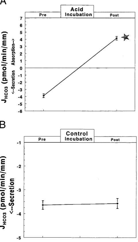 Figure 1.Mean�SE of net HCO  flux (JHCO3, pmol�min per mm) before and after (A) acid incubation (1 h at pH 6.8 followed by 2 h at pH 7.4; n = 29 CCDs) or (B) control incubation (3 h at pH 7.4; n = 4 CCDs)