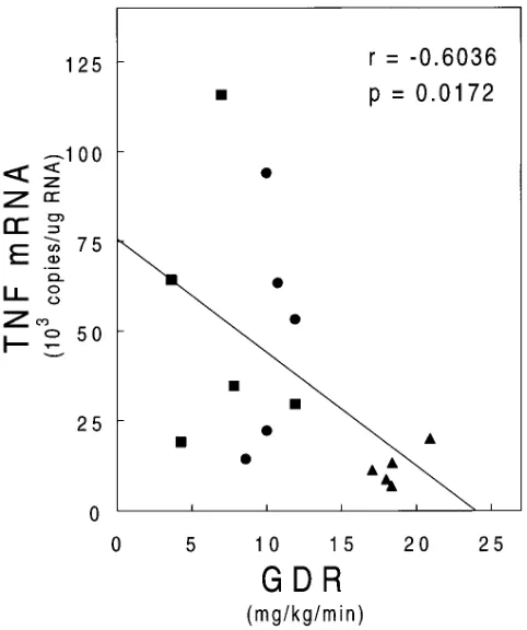 Figure 4. TNF mRNA expression by human muscle. TNF mRNA levels in muscle biopsy specimens from insulin sensitive, insulin resis-tant (nondiabetic), and diabetic subjects