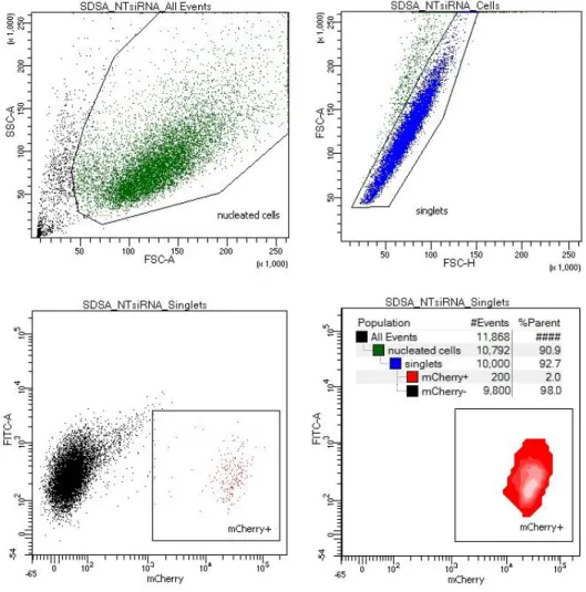 Figure 4.  Flow cytometry facilitates analysis of SDSA events by detecting mCherry-positive cells