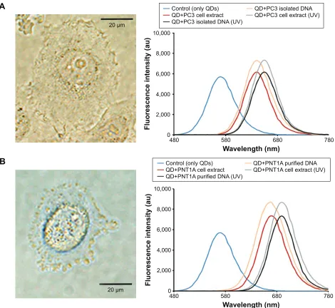 Figure 4 (Continued)