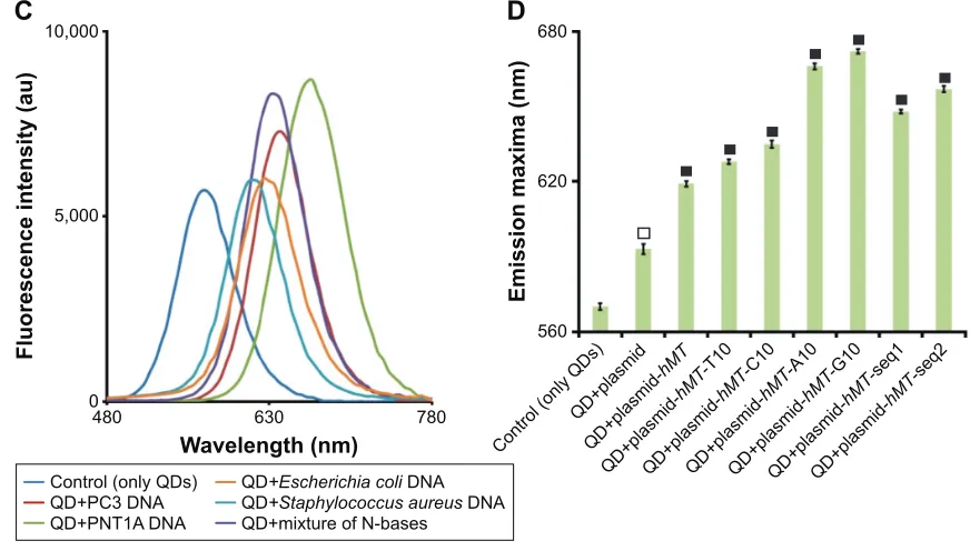 Figure 4 The detection of DNas from different sources, DNa damage, and mutation using cdTe/Znse QDs.Notes: The fluorescence spectra of the QDs after the interaction with the damaged and undamaged DNAs of PC3 and PNT1A cells are represented in (A) and (B), 
