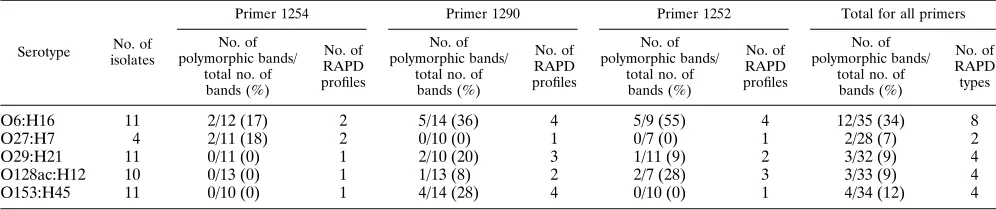 FIG. 2. Representative RAPD proﬁles generated by ETEC isolates belong-ing to three serotypes