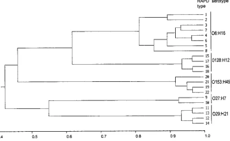 FIG. 3. Phenogram showing the relationships among the ETEC isolates ofﬁve serotypes. The tree was constructed applying UPGMA to a matrix of simi-
