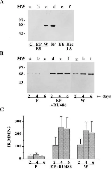 Figure 4. Hormonal 