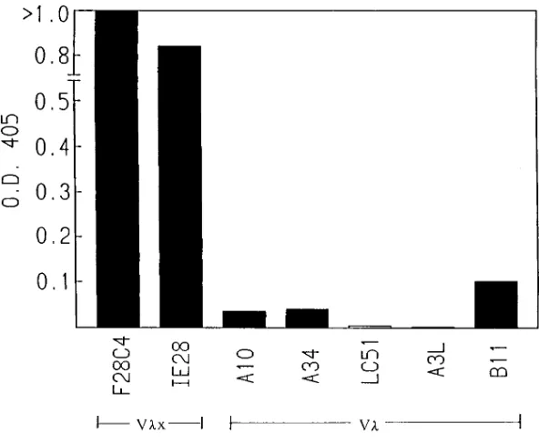 Figure 1. Polyreactivity profile of V�x-containing mAbs with potential self Ags. ELISA microtiter wells were coated with equimolar concentrations (540 nM) of the indicated Ags