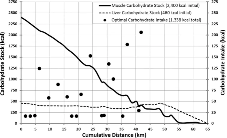 Fig. 1. Optimal  nutrition  strategy  for  a  70  kg  runner  with  69  ml/kg/min  VO2max.