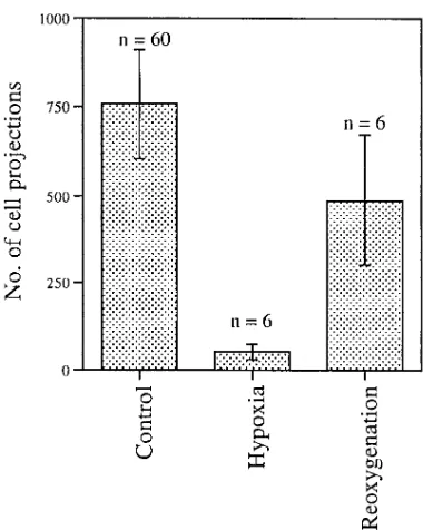 Figure 6. Reoxygenation reversed the negative effects of hypoxia on first trimester human cytotrophoblast invasion