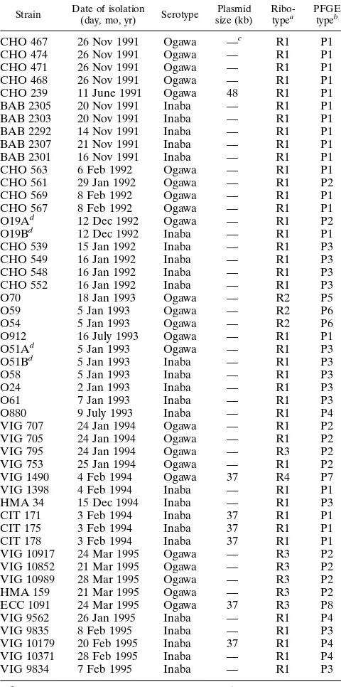 TABLE 1. Plasmid proﬁles, ribotypes, and PFGE types of50 clinical V. cholerae O1 strains isolated inPeru from 1991 to 1995