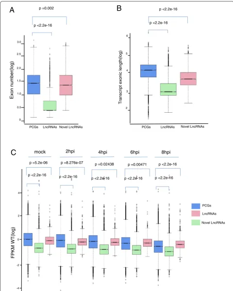 Fig. 1 (See legend on next page.)