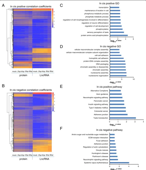 Fig. 3 The predicted function of lncRNAs regulating PCGs in cis.of c/d/e/f graphs is thecoefficients, a 714 PCGs and 83 lncRNAs composed 918 pairs of positive in cis,, the color-axisof heatmap is the log10FPKM+1