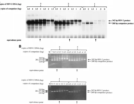 FIG. 1. Construction of the competitor DNA. HSV-2 DNA was ampliﬁed with the HSV QC primer and the HSV2a-2 primer to give the 260-bp competitor DNA.