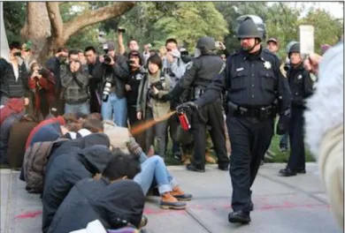 Figure 3.1: Pike Pepper-Spraying Protesters 