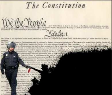 Figure 3.4: Meme of Pike peppering spraying Constitution 
