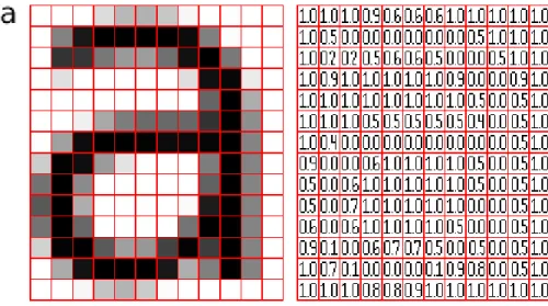 Figure 2.2: Digital Image Representation [10]