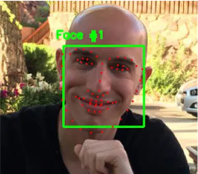 Figure 2.11: Example Output of Facial Landmark Detection [18]