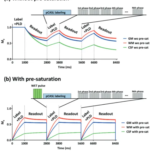 Figure 1: Simulated longitudinal magnetization (M z ) of the background static tissue as obtained by  Bloch equation simulations